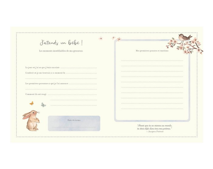 Mon journal de grossesse
