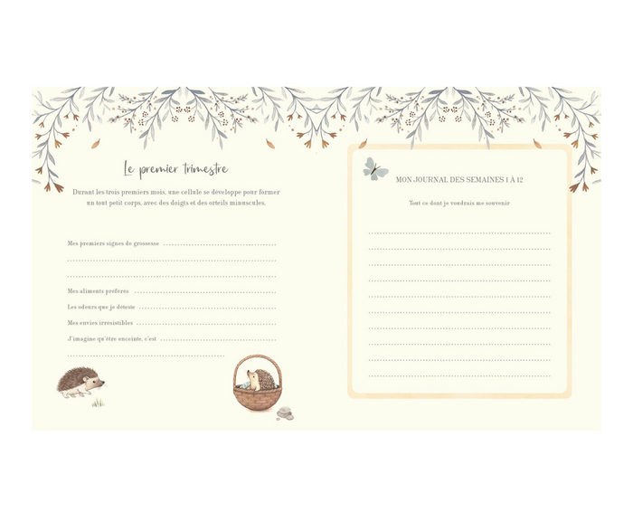 Mon journal de grossesse