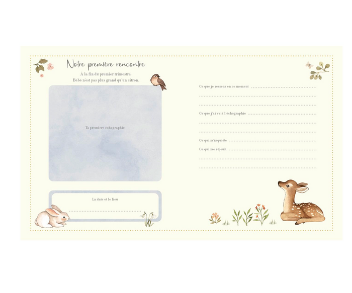Mon journal de grossesse