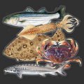 Nor-Cal sticker combo pack #2 (SP)