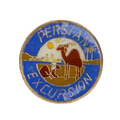 Operation Desert Storm Gulf War Persian Excursion Lapel Pin - US Army Surplus - Flags, Badges & Insignia