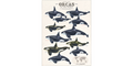 Orca Poster