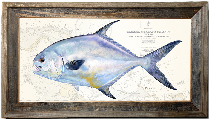 Permit