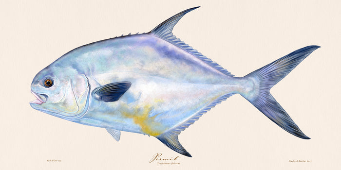 Permit