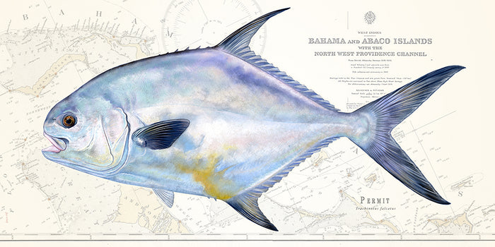 Permit