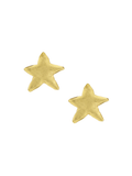 Petite Star Post Earring