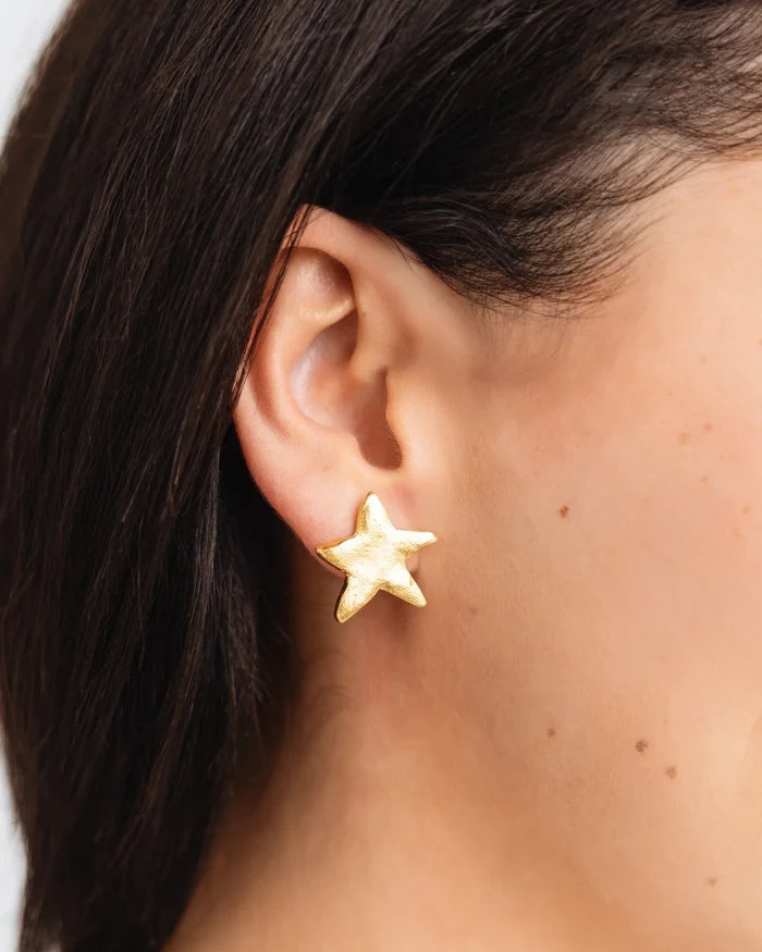Petite Star Post Earring