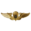 Republic of China (Taiwan) Army Parachutist Badge - Army & Outdoors - Flags, Badges & Insignia