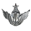 Republic of Korea Army Senior Airborne Parachutist Badge - Army & Outdoors - Flags, Badges & Insignia