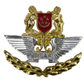 Republic of Singapore Air Force (RSAF) Cap Badge - Singapore Army Surplus - Flags, Badges & Insignia