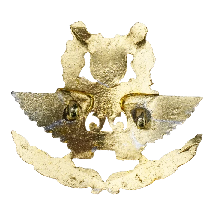 Republic of Singapore Air Force (RSAF) Cap Badge - Singapore Army Surplus - Flags, Badges & Insignia