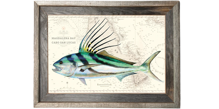Roosterfish
