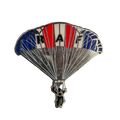 Royal Air Force Falcons Display Team Enamel Pin - Army & Outdoors - Flags, Badges & Insignia