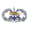 Royal Thai Border Police Special Forces Qualification Badge - Army & Outdoors - Flags, Badges & Insignia
