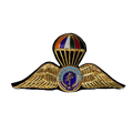 Royal Thai Paramilitary Force Badge, Item 2 - Army & Outdoors - Flags, Badges & Insignia