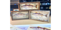 Seabass stones shadowbox
