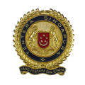 Singapore Armed Forces (SAF) Infantry Beret Badge - Singapore Army Surplus - Flags, Badges & Insignia