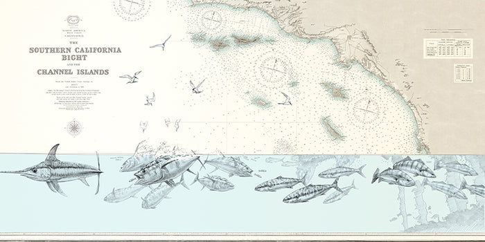 So-Cal Bight offshore surface tension
