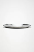 RAINS Stainless Steel 2-Pack Plates Steel Plates