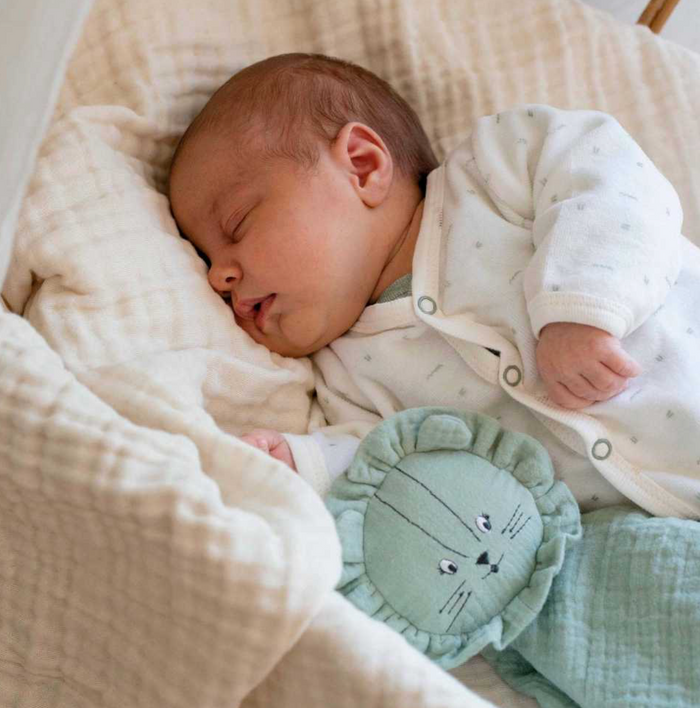 Trousseau de naissance | Sauge