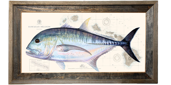 Ulua