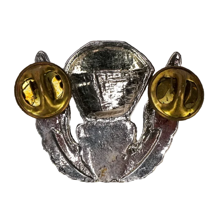 US Army 82nd Airborne Division Freefall Wings Badge - US Army Surplus - Flags, Badges & Insignia