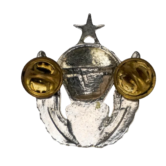 US Army 82nd Airborne Division Senior Freefall Wings Badge - US Army Surplus - Flags, Badges & Insignia